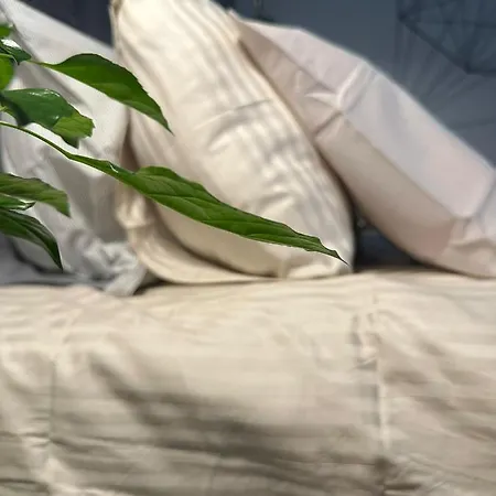 Com Banheiro Privativo No Centro De * Lisbon