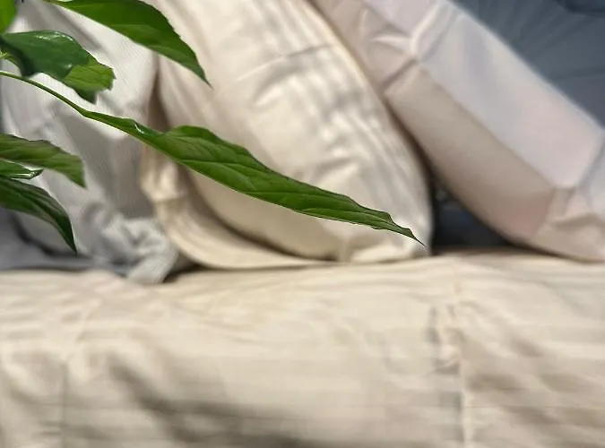 Com Banheiro Privativo No Centro De * Lisbon