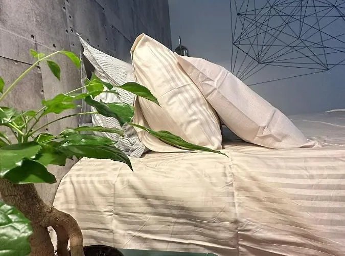 Kwatera prywatna Com Banheiro Privativo No Centro De *