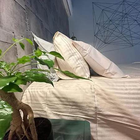 Homestay Com Banheiro Privativo No Centro De *